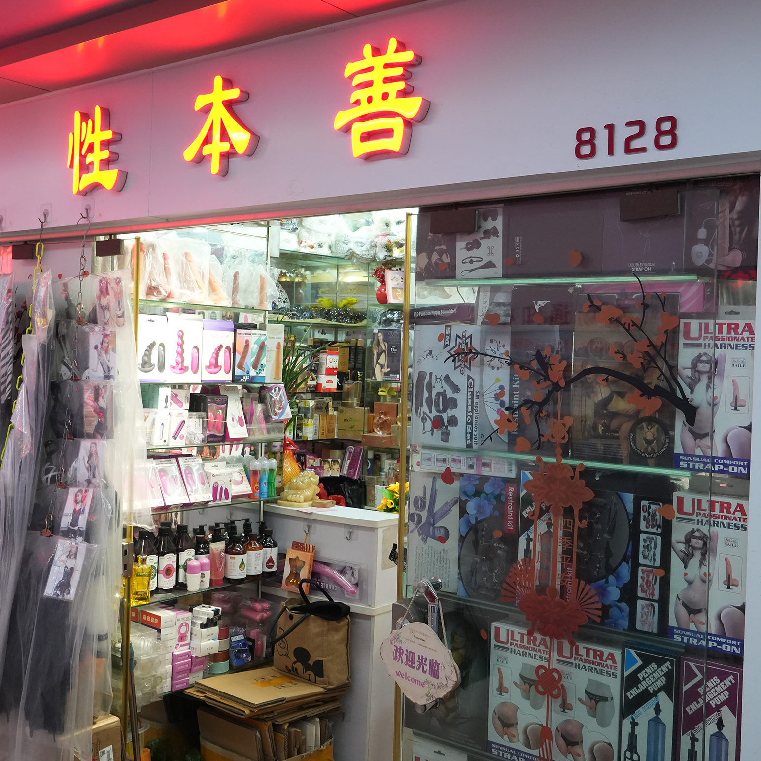8128档 性本善
